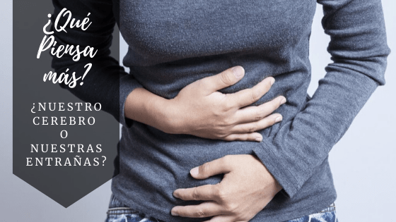 Qué piensa más: ¿Nuestro Cerebro o Nuestras Entrañas?